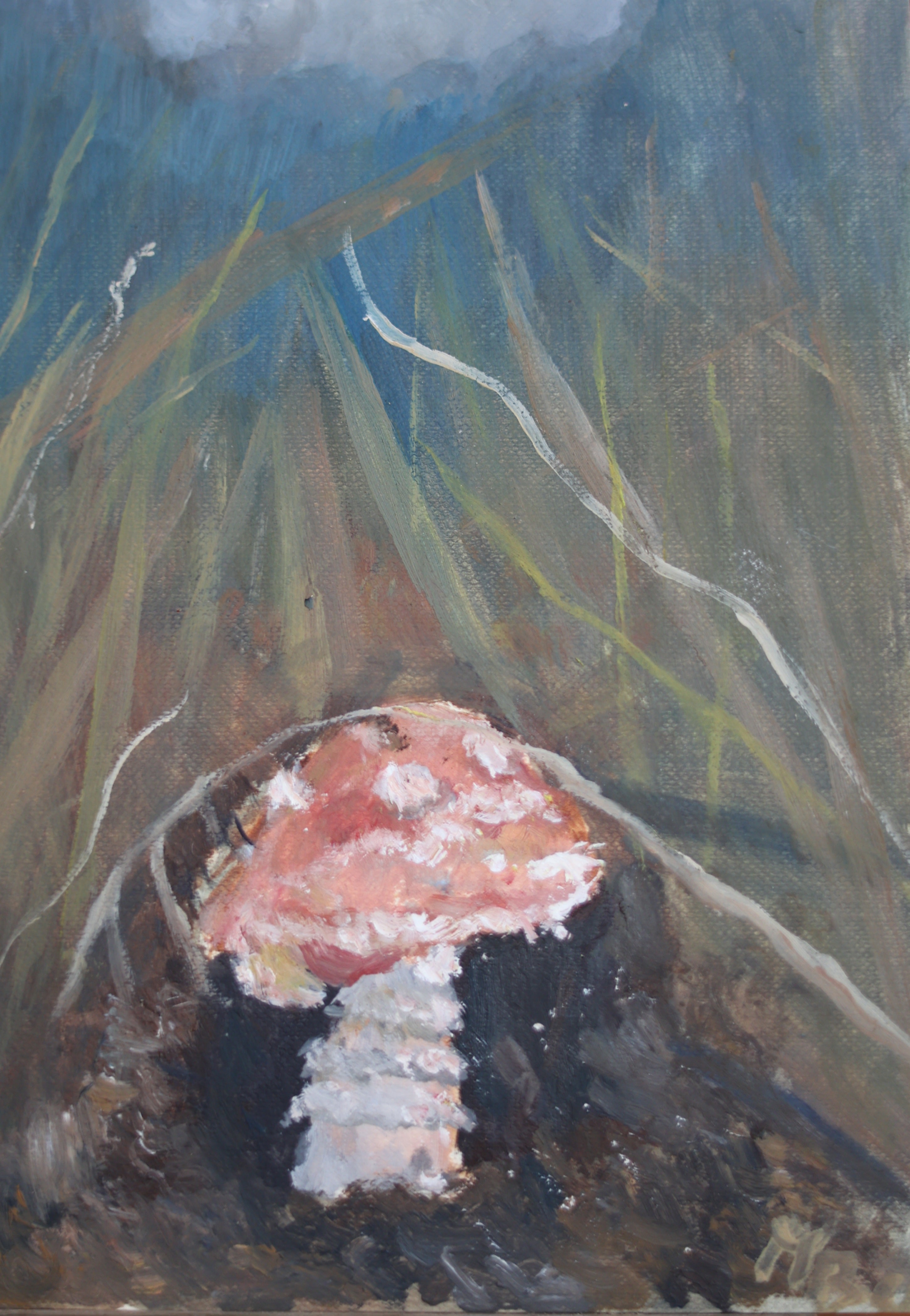 Muchomorek 15x21 cm obraz olejny na papierze bawełnianym