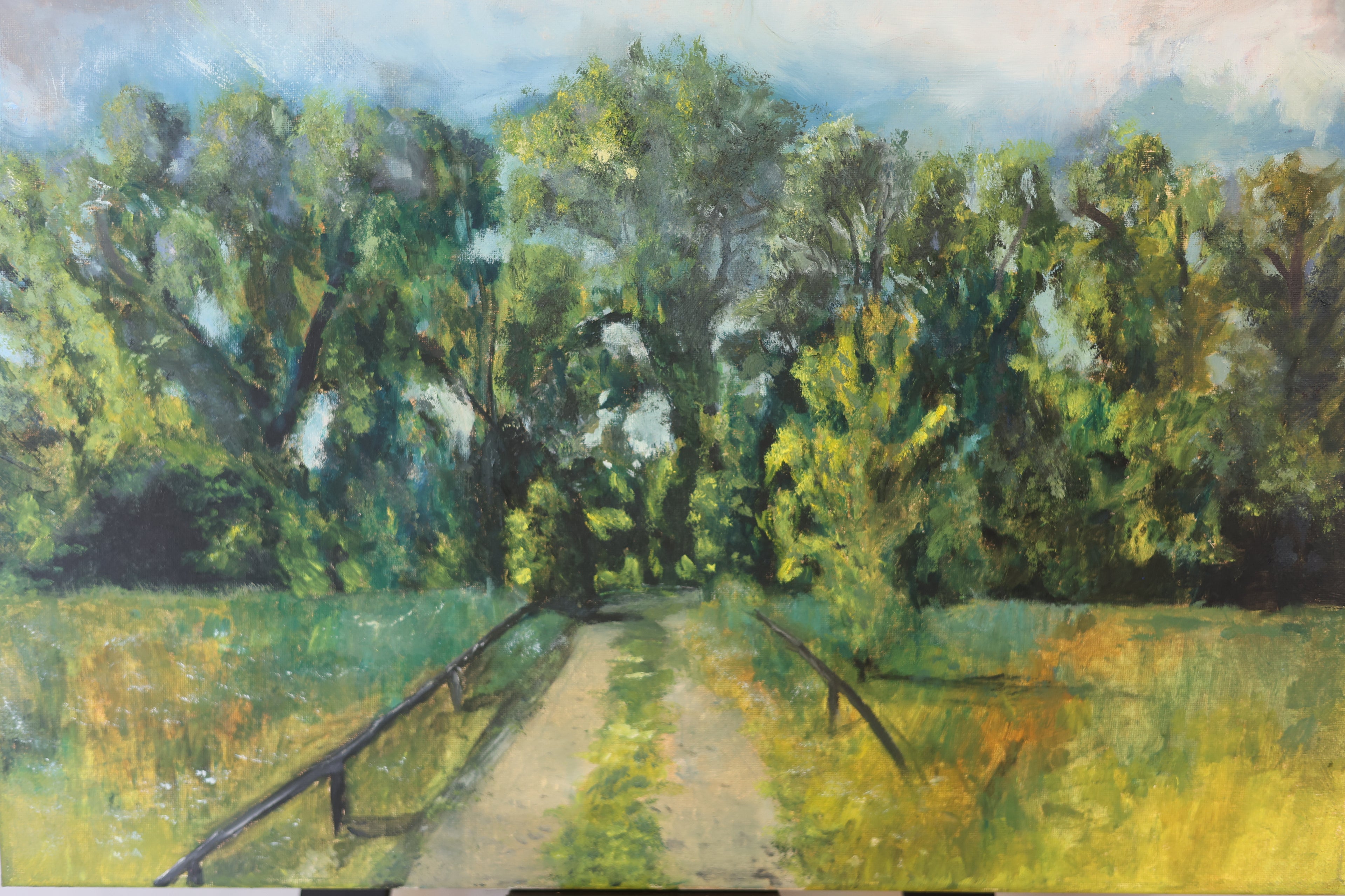 Droga na stawy, obraz olejny na płótnie 40x60 cm